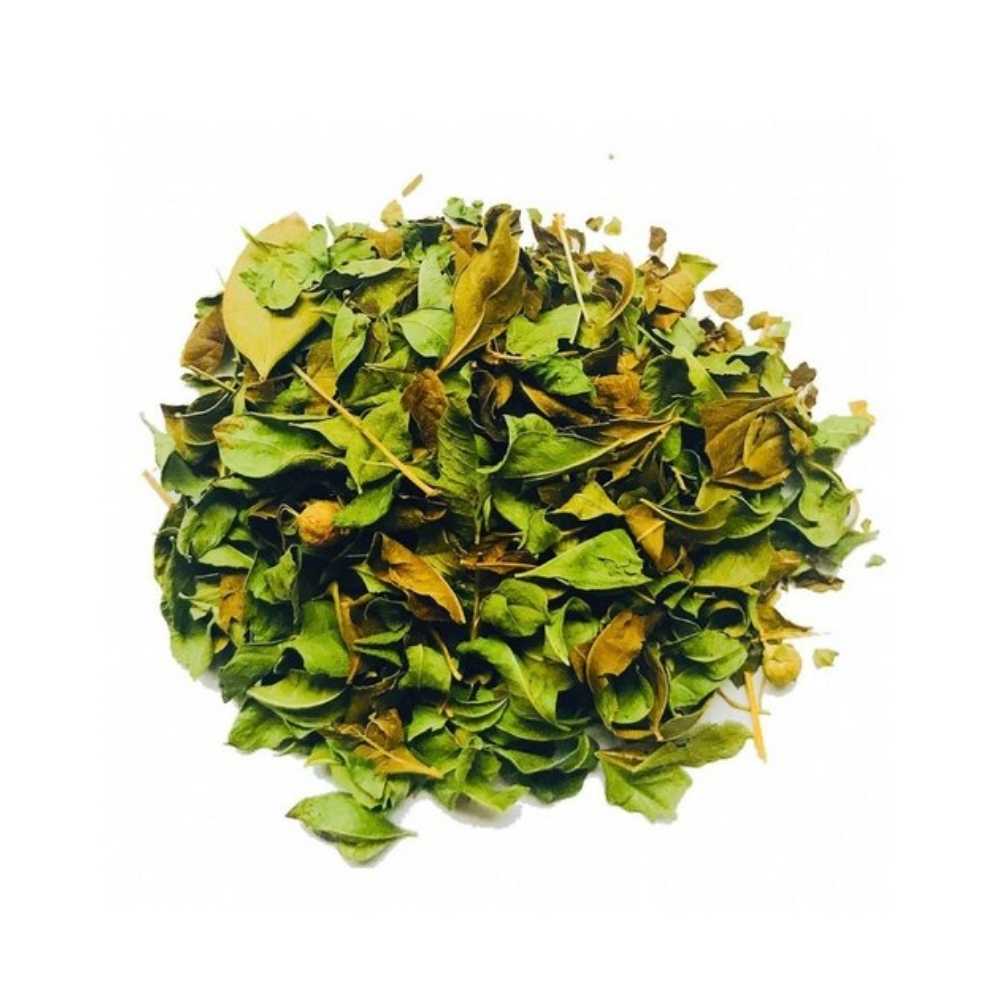 Fresh Organic Henna Leaves For Hair | Organic Mehndi Leaves